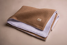 Load image into Gallery viewer, Polar blanket