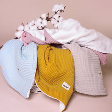 Load image into Gallery viewer, Polar blanket