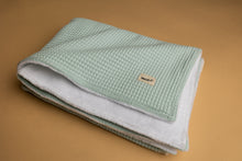 Load image into Gallery viewer, Polar blanket