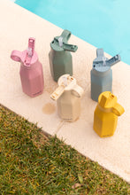 Carregar imagem no visualizador da galeria, Garrafa Squeeze