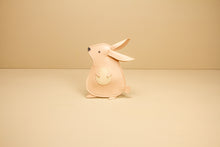 Carregar imagem no visualizador da galeria, Mala tiracolo esquilo