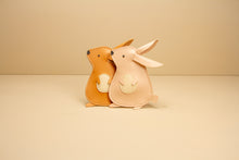 Carregar imagem no visualizador da galeria, Mala tiracolo esquilo